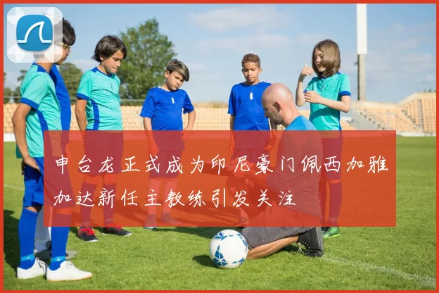 申台龙正式成为印尼豪门佩西加雅加达新任主教练引发关注